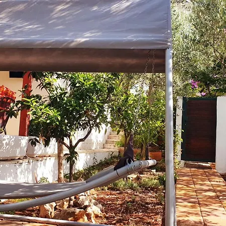 House Oliva With Private Pool And Large Garden * Stari Grad (Hvar)