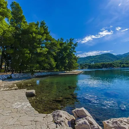 Casa de Férias House Oliva With Private Pool And Large Garden Stari Grad (Hvar)